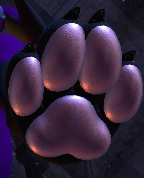 KuroVr_'s tweet photo. shiny vr chat beans?
#VRChat #paws #beans https://t.co/lICYJ6ouvx