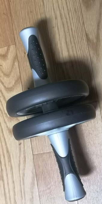 職場の脳筋同僚にコロコロをもらったのぜ。これでシックスパックになるのぜ。 