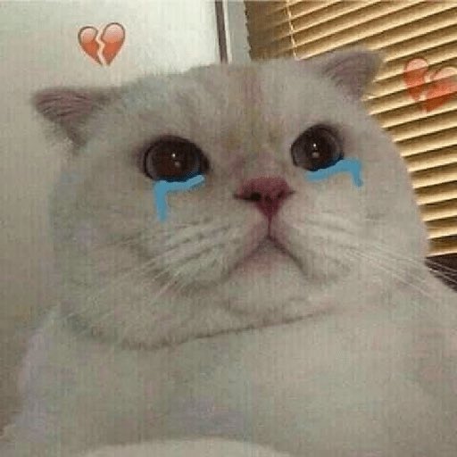 oranethr's tweet image. mon crush m’a envoyer un message mais snap bug #snapchatbug