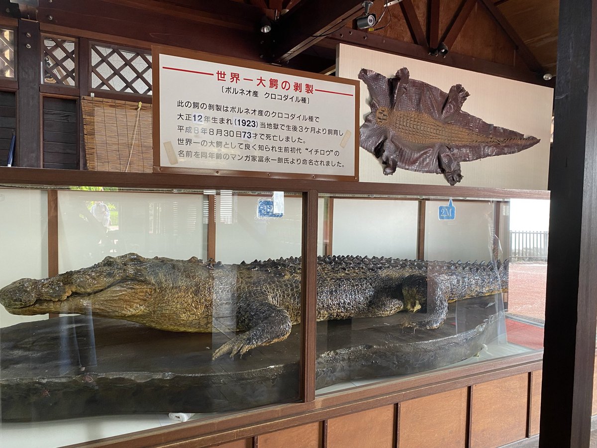 はるか｜動物園水族館巡り獣医師 on X