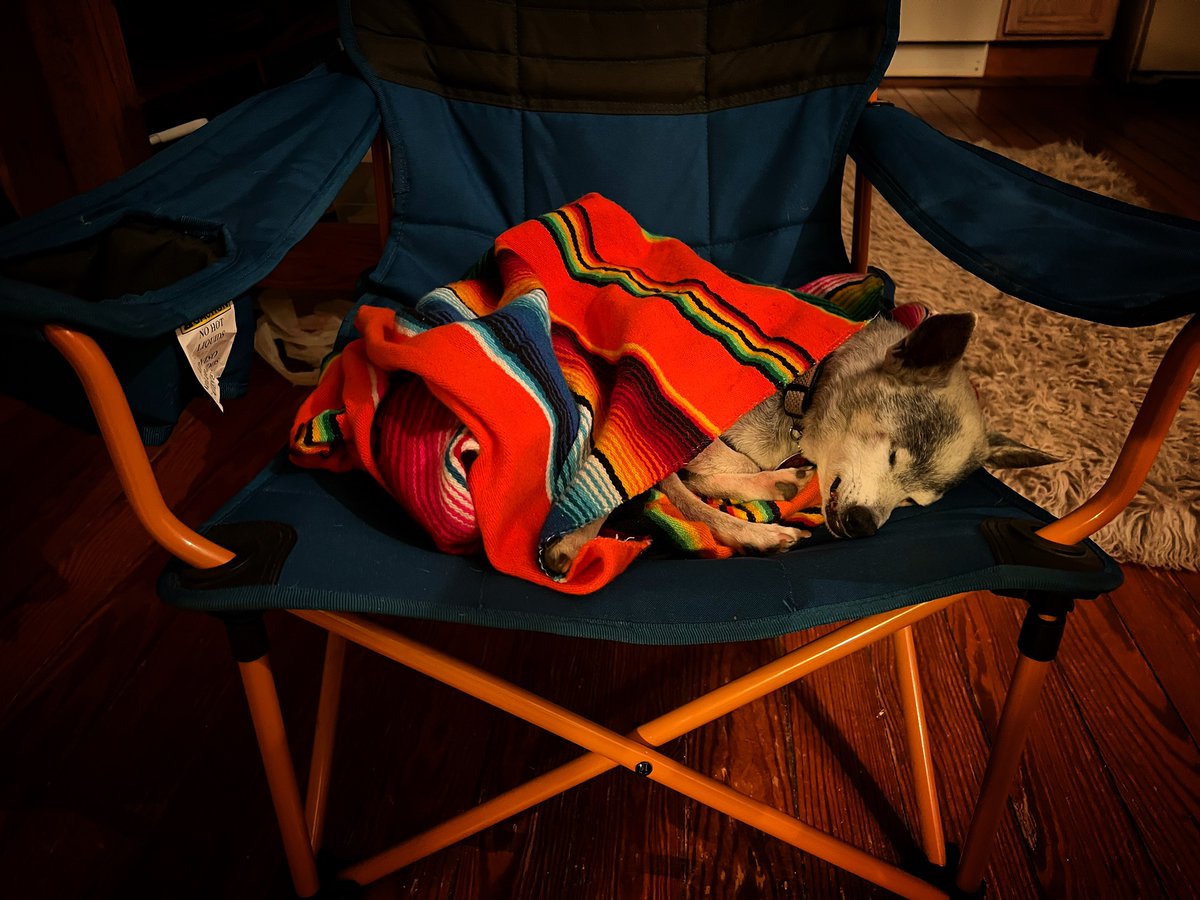 DrStevenLandry's tweet photo. Bodhi sleeps comfortably https://t.co/zUglcoFNqJ