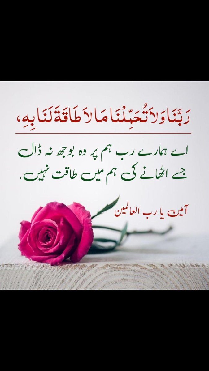 FTahir11's tweet photo. https://t.co/vBT5YHpczf