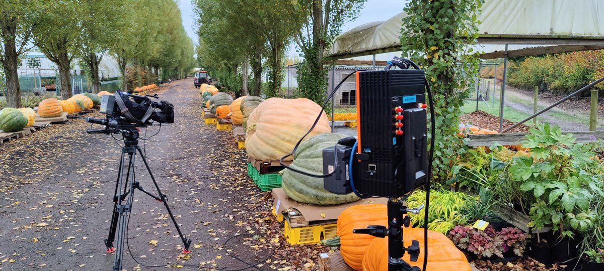 IP Broadcast TV tweet media