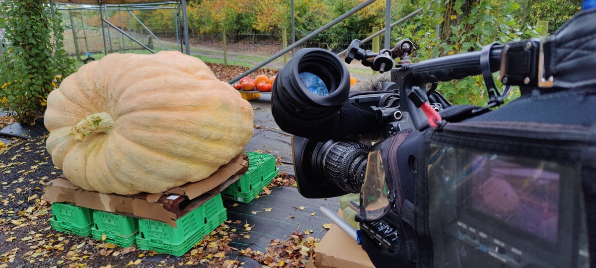 IP Broadcast TV tweet media