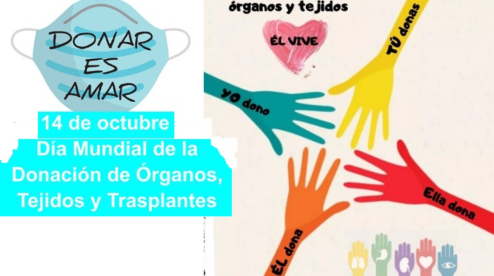 012CMadrid's tweet photo. 🧠🫀🫁Hoy se celebra el Día Mundial de la Donación de Órganos, Tejidos y Trasplantes. Ser donante de órganos no es correr un riesgo sino convertirse en una salvación para otras personas menos afortunadas en la salud. https://t.co/FSTRJzR4zG