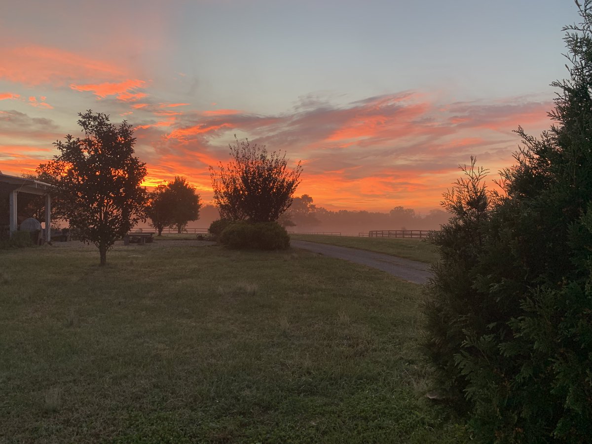 DecemberFarm's tweet image. Good morning from Midway Kentucky