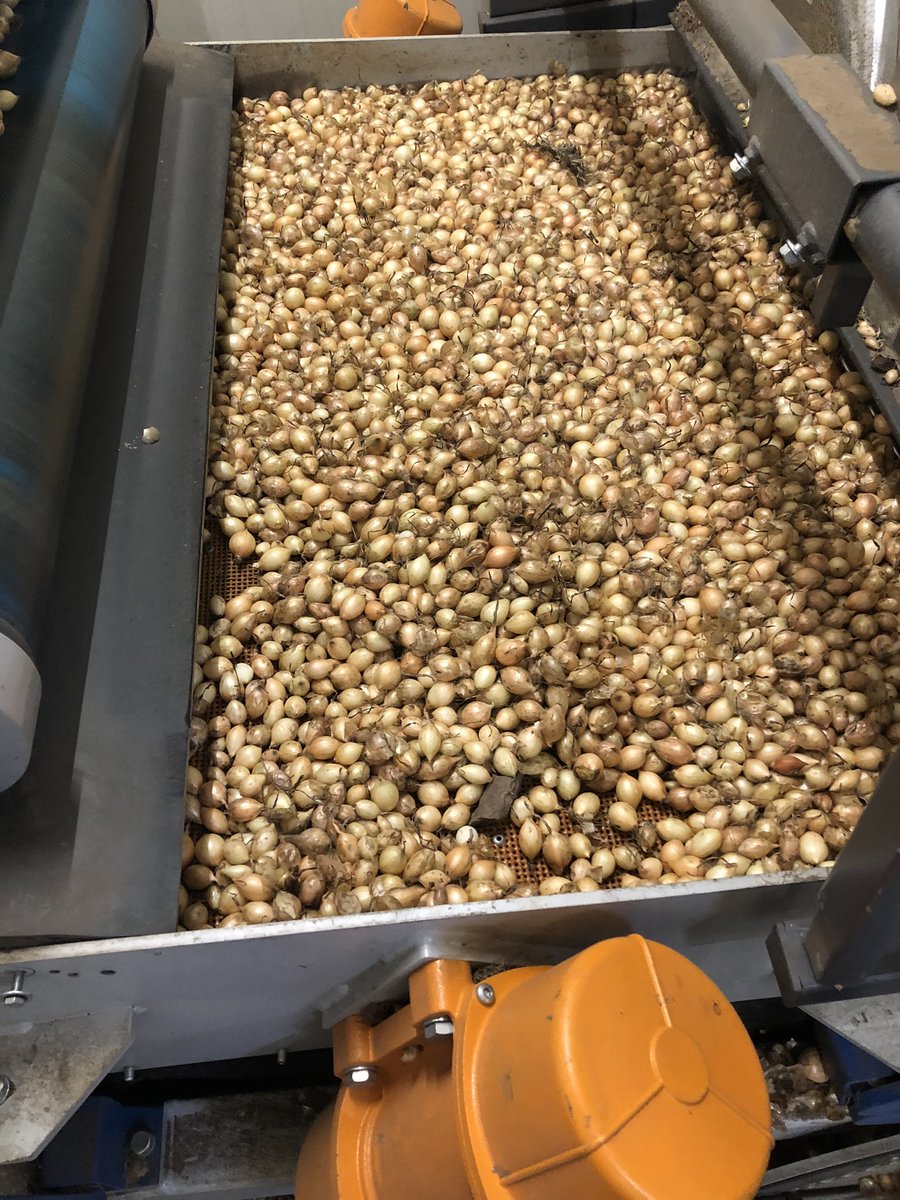 Maandag de troy plantgoed gecontroleerd en goed bevonden met <a href="/janslik/">janvanderslik</a> bij <a href="/BroerBV/">Broer B.V.</a>.Beter vooraf controleren dan achteraf