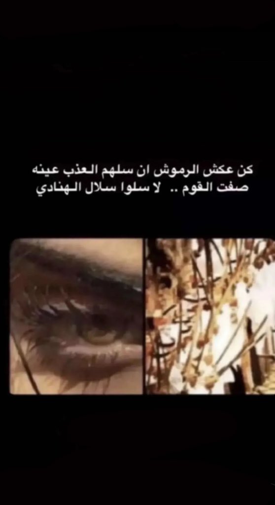 م٧9! tweet media