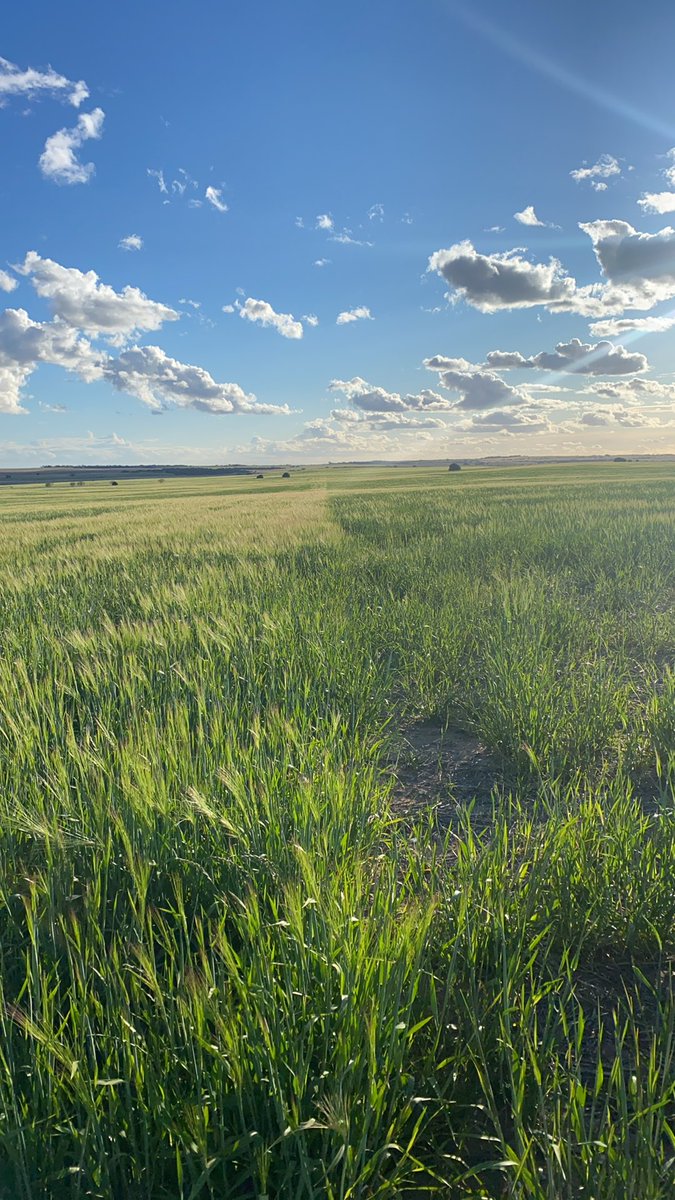 Bednar like dogs balls.
<a href="/linc_ramsey/">Linc Ramsey</a> <a href="/ramsey_bros/">Ramsey Bros</a>