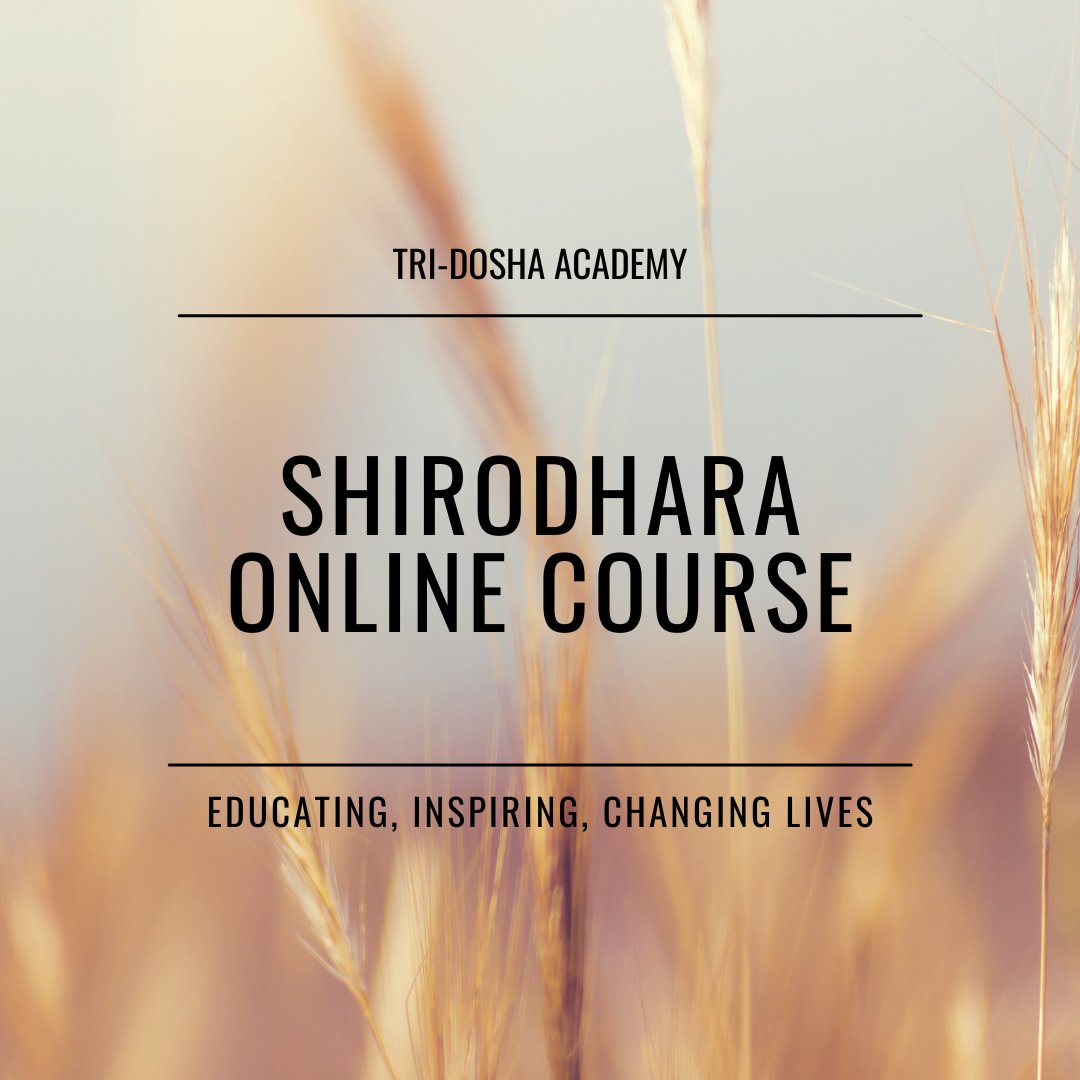 The course gives you a full overview of the Ayurveda health system, the benefits of the Shirodhara treatment, the equipment required to facilitate the treatment and how to use pressure (marma) point techniques to improve the clients experience.