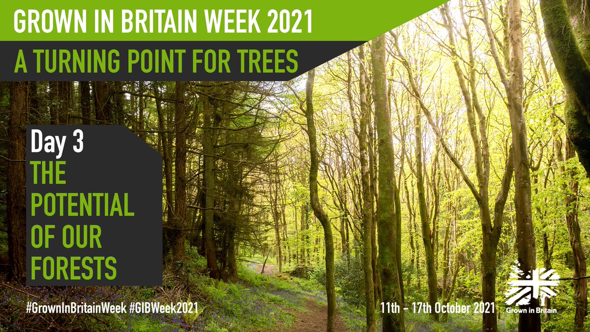 GrowninBritain's tweet photo. Day 3 of #GrownInBritainWeek and today's the big day of forestry! The main event is of course the annual forestry conference, but we'll also be discussing what "Grown in Britain" certified forestry really is and the future of international timber trade.
#GiBWeek2021 https://t.co/7hl1ljBctR