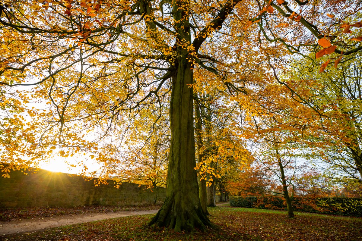 National Trust tweet media