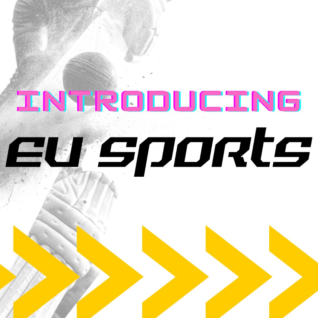 eu-sports.com will partner up with VCC for the coming seasons. Cricket gear from the heart of Styria!