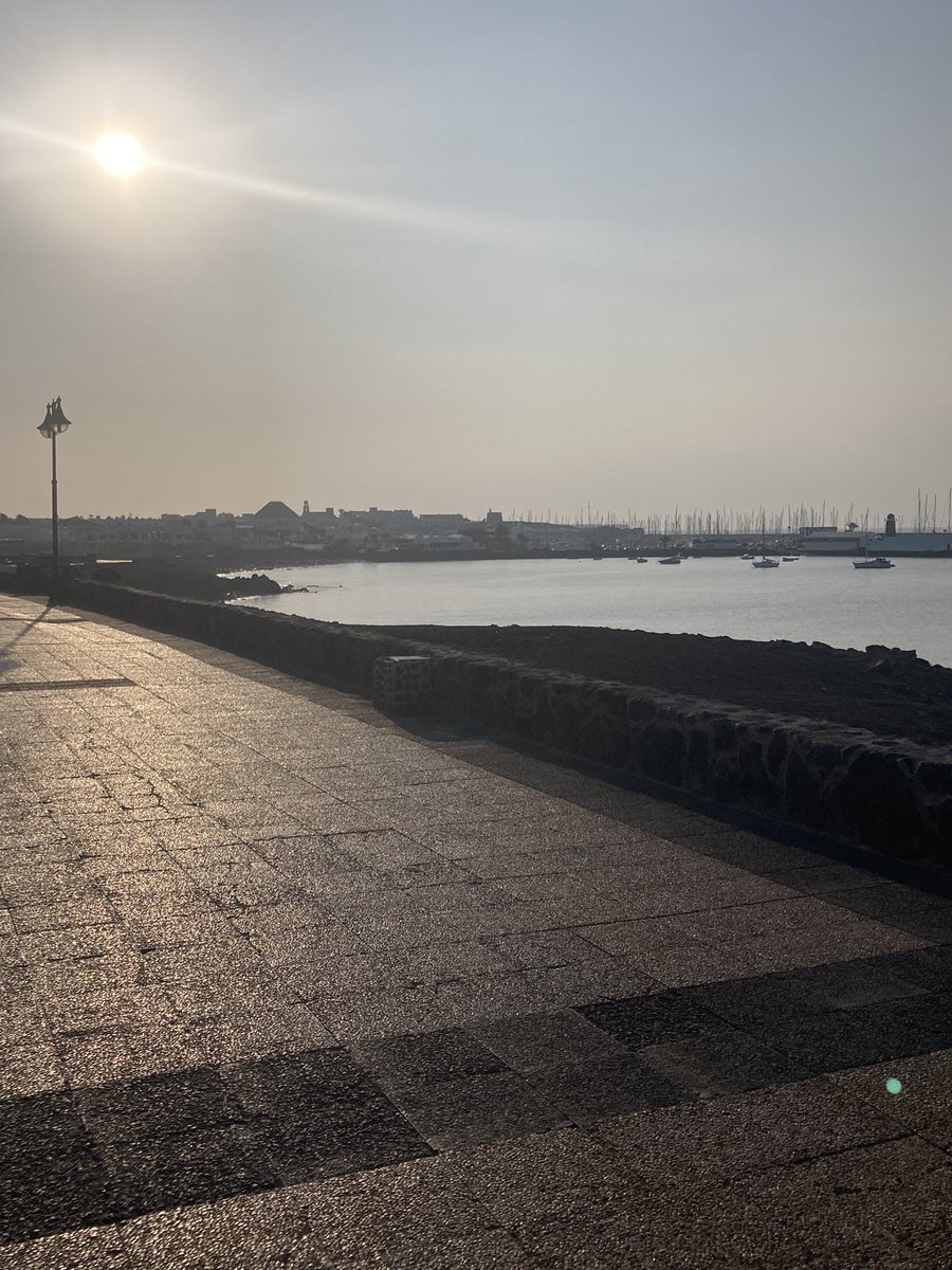 Carol Evans tweet media