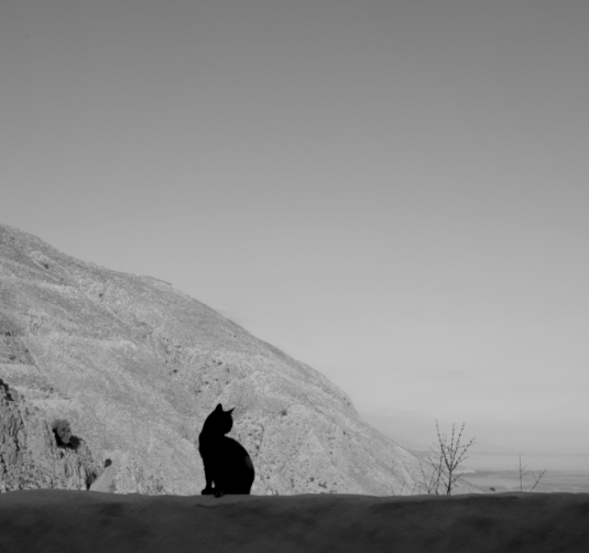 Bale. C (@balec59997426) on Twitter photo 