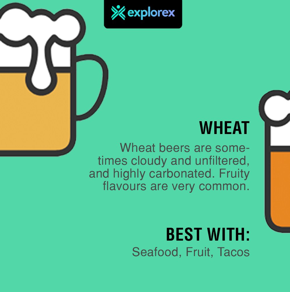 explorex_inc's tweet photo. Stay Brewtiful Stay Hoppy!
#beerstories #infographics #knowyourbeer #wishyouwerebeer #festivities #vibes https://t.co/UWZqaznfyu