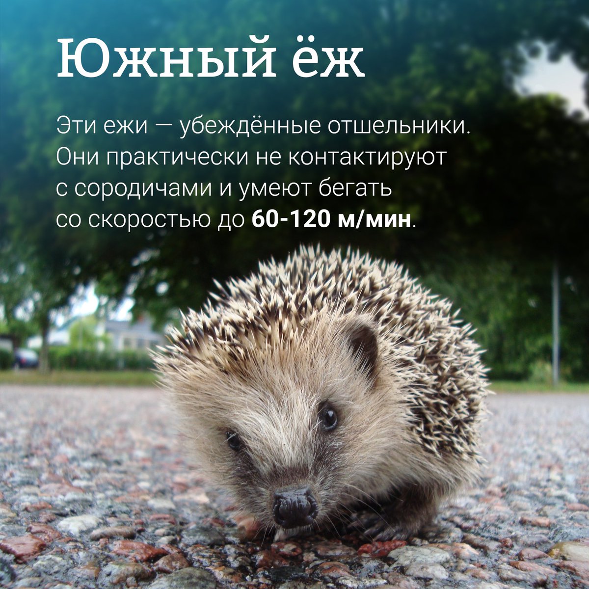 Крымский мост tweet media