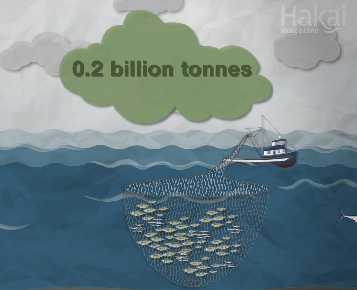 ReeFishNews's tweet photo. Contrary to terrestrial organisms, carcasses of large marine fish sink and sequester carbon in the deep ocean

«  It also brings carbon to a community that is also incredibly food starved » @cbcoceansguy

Movie by @hakaimagazine
https://t.co/Lz9en4PNe8

https://t.co/pVP2dXKjiR https://t.co/FYoZAX2mEk
