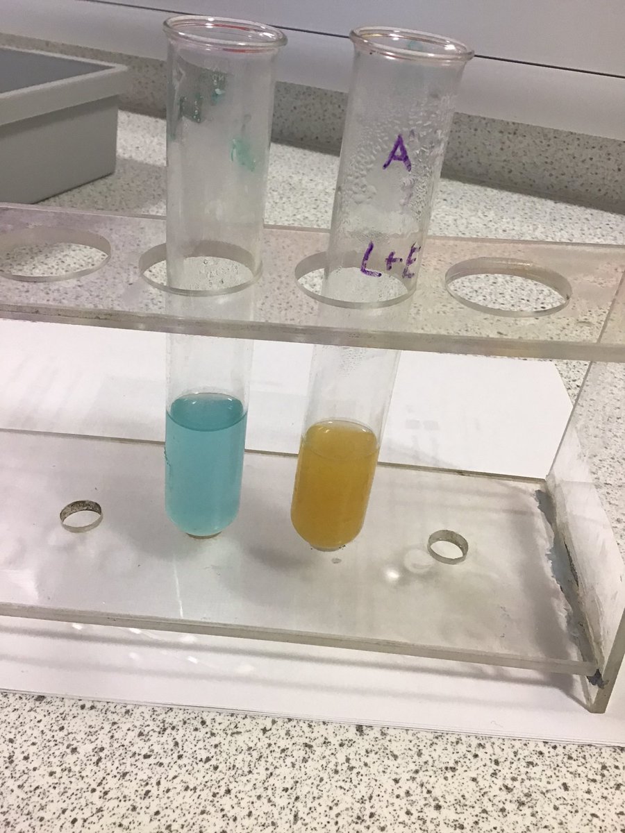 Tynecastle Biology tweet media