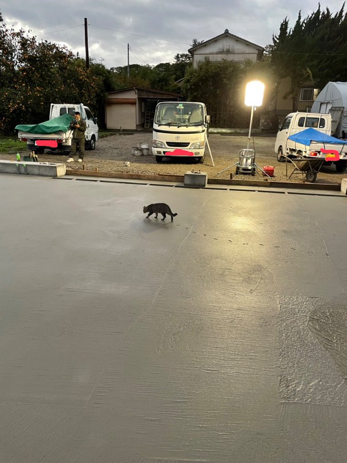 【お客様！困ります！あーっ！】猫vs生乾きセメントのサムネイル画像