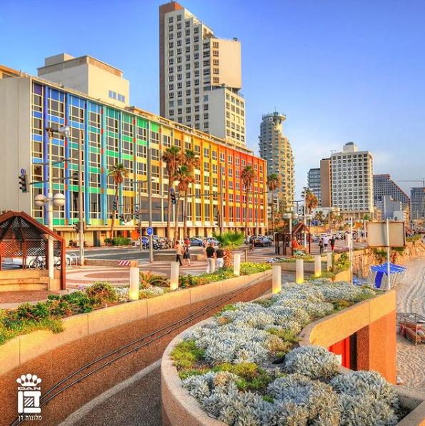 Dan Hotels tweet media