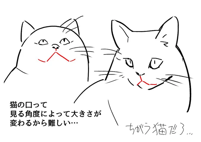 ネコを描いて「エ!」ってなりました。 