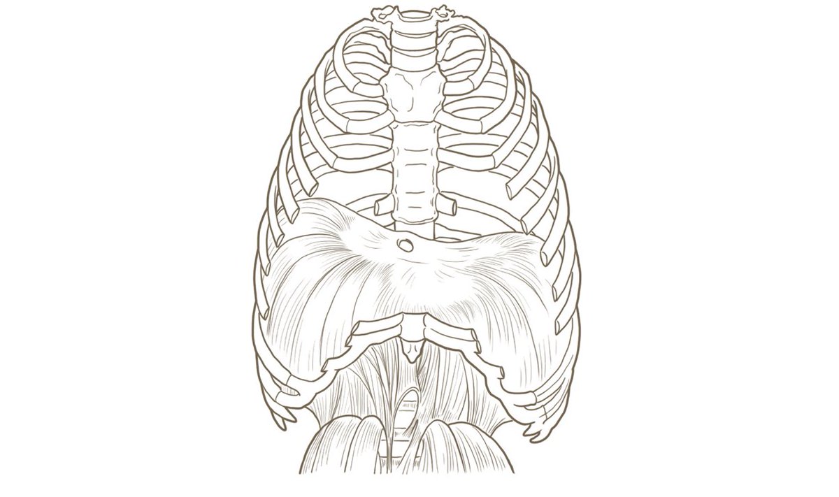 Twoucan 看護師 イラスト集 看護roo Kangoshi Illust