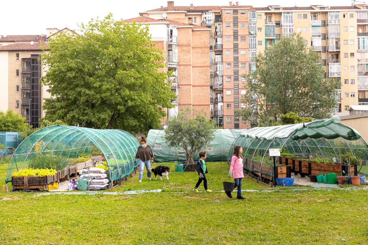 planbee_bz's tweet photo. Siamo tornati a #Torino per vedere gli effetti del progetto #AMisuraDiVerde sullo spazio #SCiA131. Non solo è migliorata la produzione 🥬, l'#orto fra i palazzi di via Sospello è diventato punto di riferimento per tutta la #comunità ❤️ Leggi l'intervista 👉https://t.co/y61a4ImGyQ https://t.co/RvWFb2Pzj4