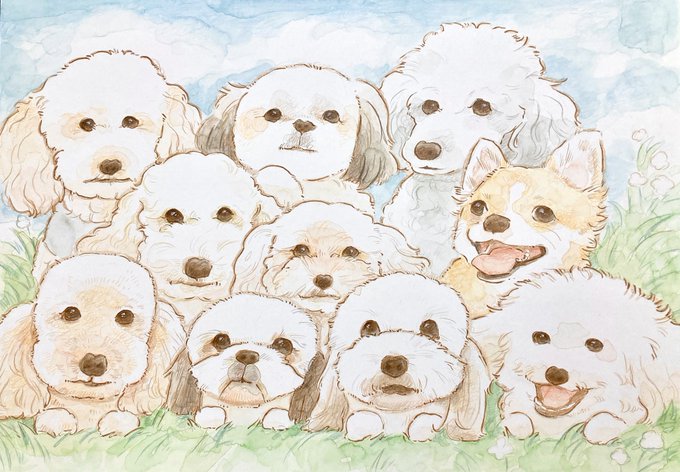 原っぱのtwitterイラスト検索結果