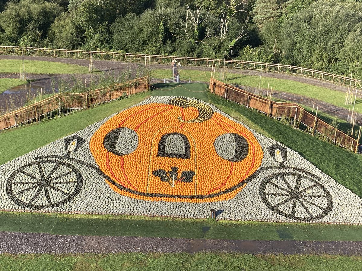 Sunnyfields tweet media