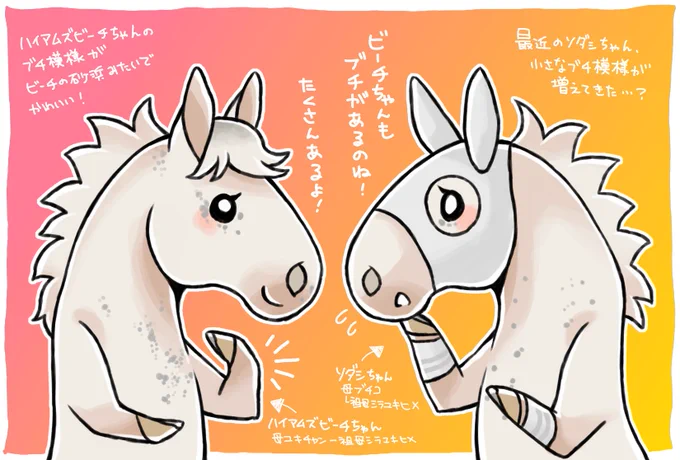 ソダシちゃんとハイアムズビーチちゃん
ソダちゃん、札幌記念辺りから胸と肩に薄いブチ模様が増えてきた?加齢と共にブチが増えてくるタイプなのかな?いとこのビーチちゃんみたいなブチになるかも。
(ビーチちゃんは現在、寝違え療養中らしい) 