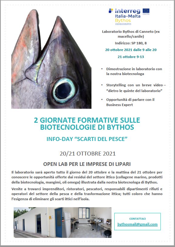 BythosEu's tweet photo. Giornate formative a Lipari il 20 e 21 ottobre per tutte le imprese - open lab! https://t.co/lhsW6OGxEy