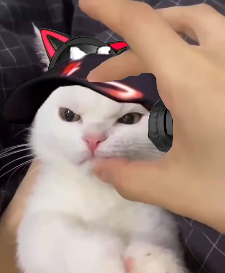 brokoliyangbroke 🥦🇵🇸 on X: RT @BoBoiBoy: angry cat headphones #byme  #joiningthetrend  / X