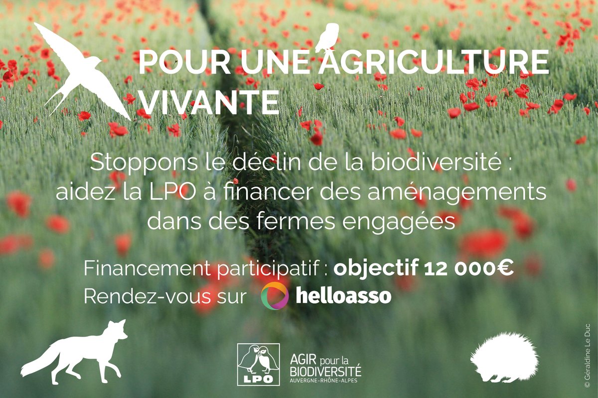 #biodiversite #agriculturevivante #financementparticipatif #lpo
🪱🌱🐦🌿🦎🍂🦇🌼🦔🌳🐌🌲🐞🌻
👉helloasso.com/associations/l…
🙏