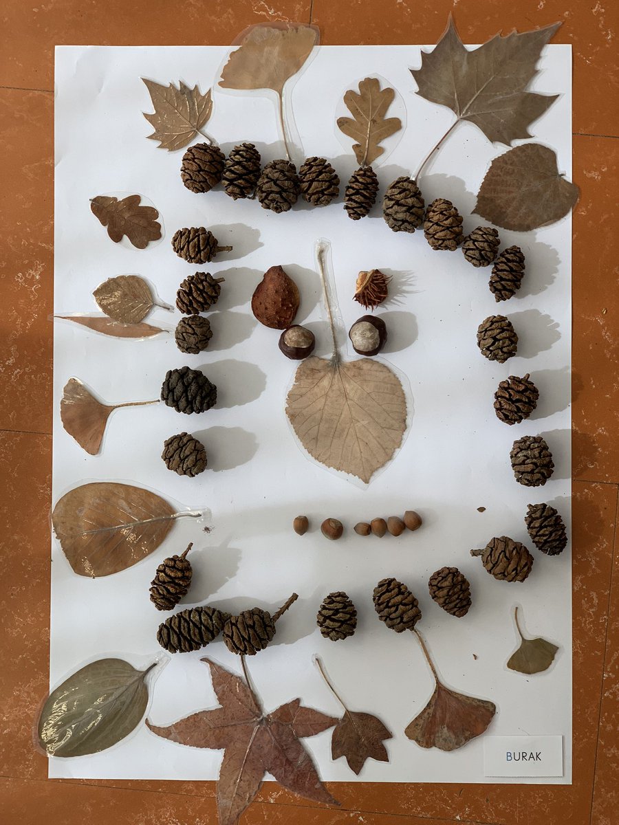 Les Grands de Louise Michel tweet media