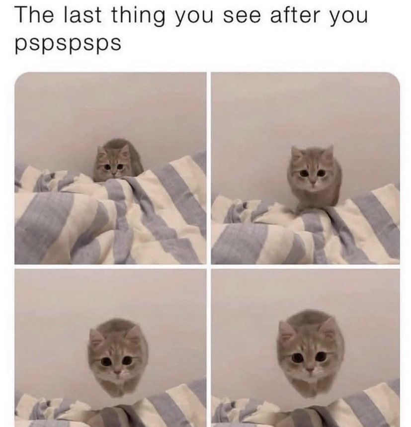 WholesomeMeme's tweet photo. https://t.co/zVhlsExvnv