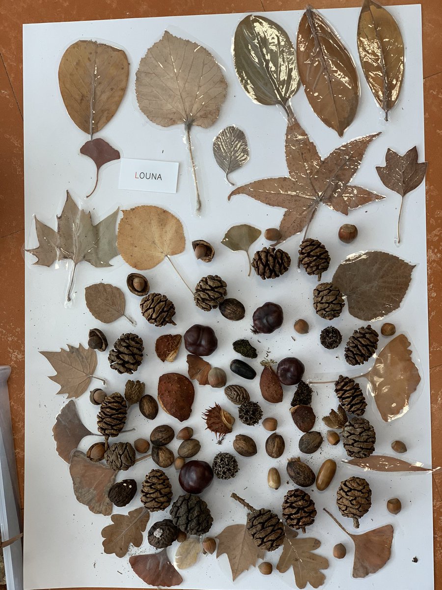 Les Grands de Louise Michel tweet media