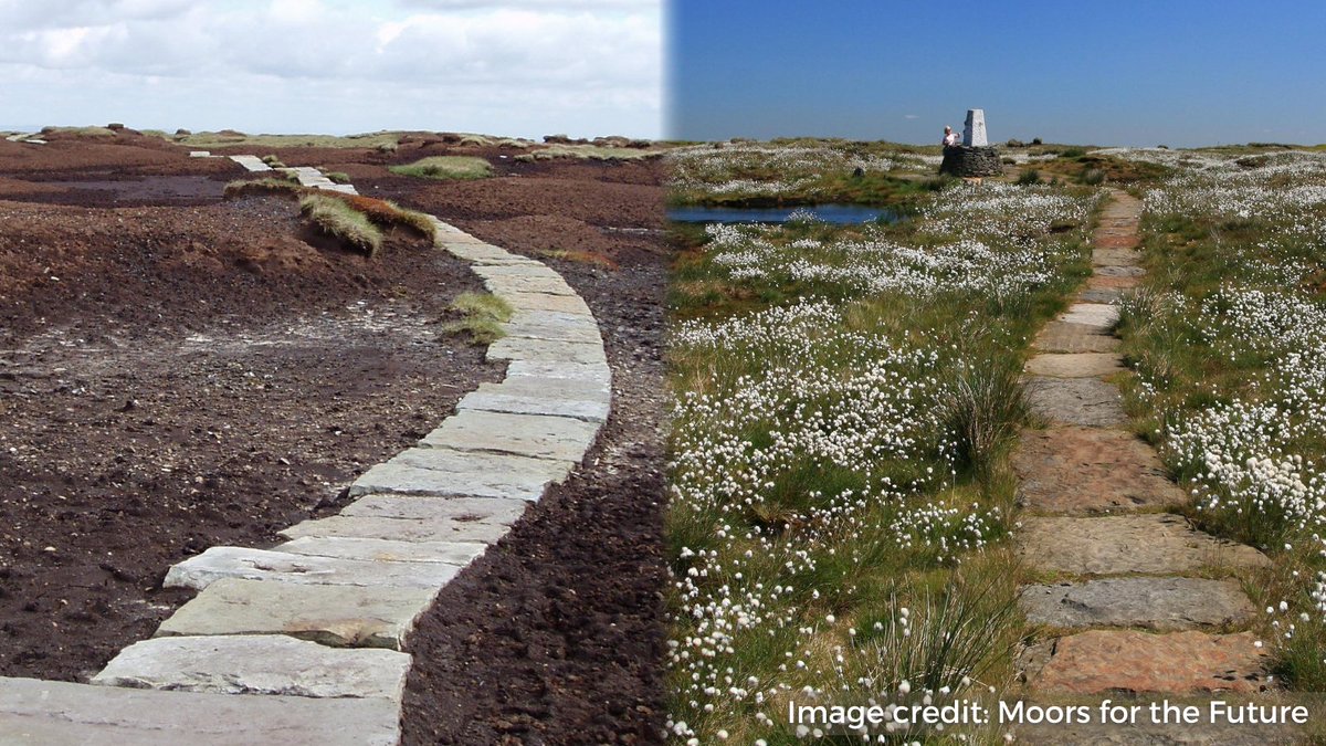 Two pictures of a stone path going over land. One picture shows biodiversity and water and the other is bare.