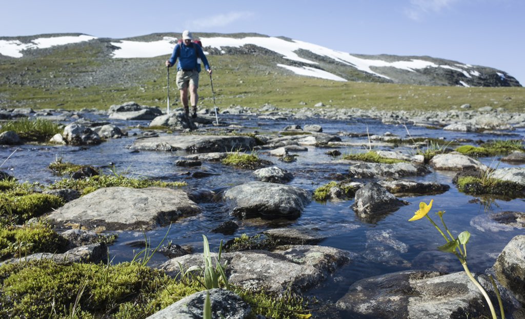 racingtheplanet's tweet image. How about this for a river crossing ?? RacingThePlanet: Lapland 2022 #nofilter #wetfeetforfun #puddlejumping