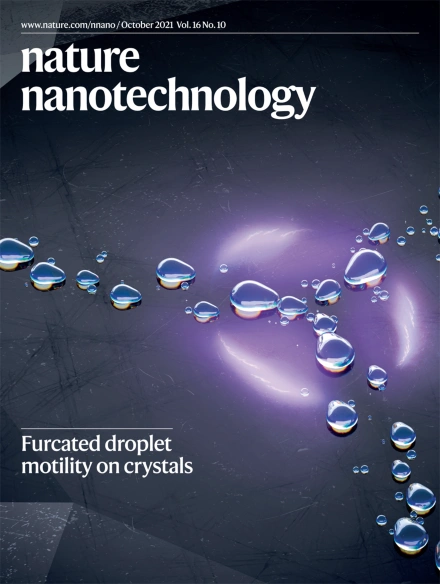 Nature Nano on Twitter: "15 years of Nature Nanotechnology: On the occasion of the anniversary, we look back at 15 years great nanoscience and nanotechology. https://t.co/n1RzS0dkxB https://t.co/cCvLSuosU9" / Twitter
