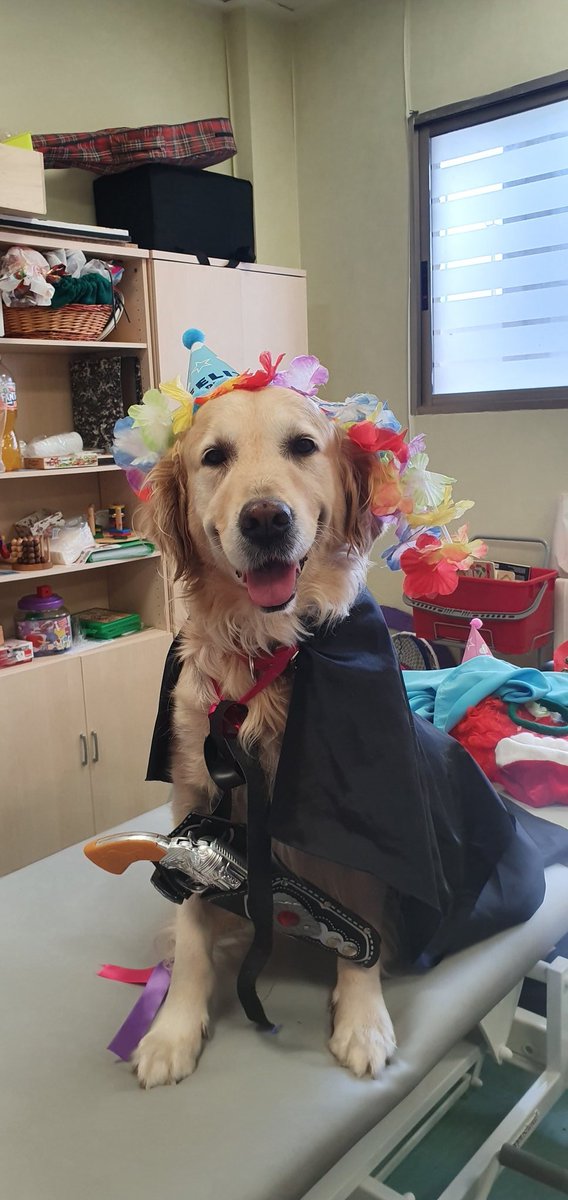 Ikki ha decidido prepararse ya para Halloween 🎃 
Está tan bonica!!!!😍
Aprovechamos y trabajamos la orientación temporal y las ABVD relacionadas con el vestido y desvestido.