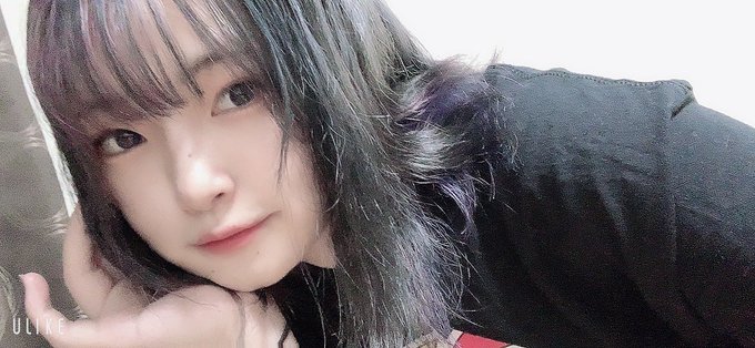 猫宮まる。