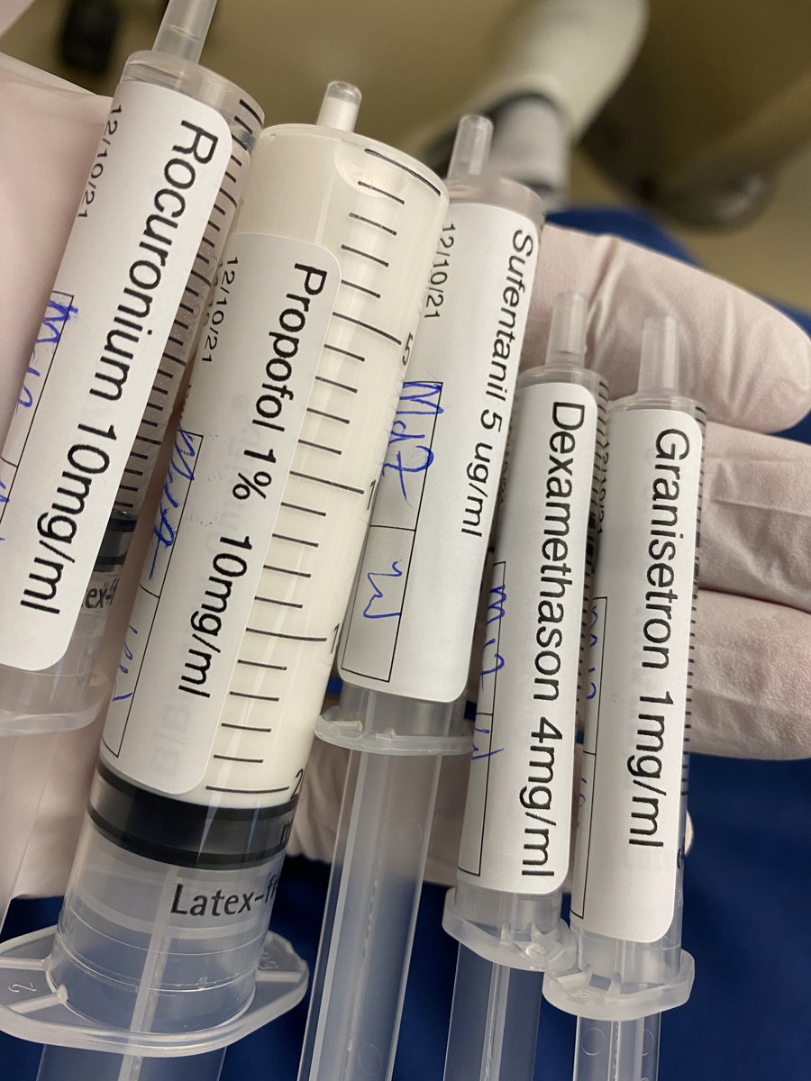 AirwayMxAcademy's tweet photo. ☑️A handful of goodies. Show me your hand so we know your profession @LeifRognas @Vapourologist @aboutanurse @ketaminh @TheHennaK @bobfunn @DoyleLeilani @LDNairamb @Kees_zelf @EM_RESUS @MDaware @jducanto @NightShiftMD #ahandful @amit_pawa @Kevin_Fong @LondonAllergy @ilsejans https://t.co/aYcCUtM1AT