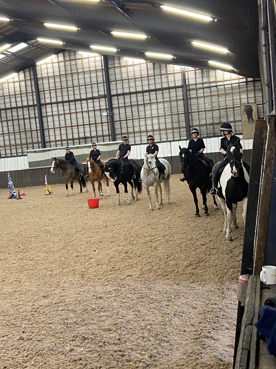 GMPHorses's tweet photo. Today is Public Order and Effects at Hough End for A relief. All the horses did superb with the new PH Little Dorrit and PH Marley leading by example #teamwork #policehorse #bepreparedforanything @GMPHorses https://t.co/ASLCiLPzBn