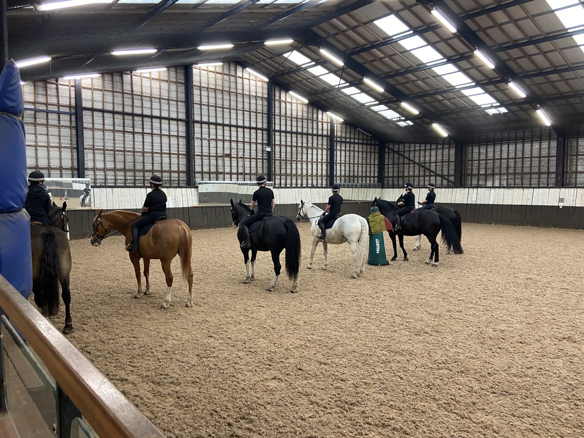 GMPHorses's tweet photo. Today is Public Order and Effects at Hough End for A relief. All the horses did superb with the new PH Little Dorrit and PH Marley leading by example #teamwork #policehorse #bepreparedforanything @GMPHorses https://t.co/ASLCiLPzBn