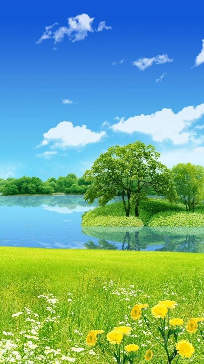 ياربّ رحابة دائمة وأوقات مُزهرة ، 
وسرورُ على سرور ' 💓🌿.