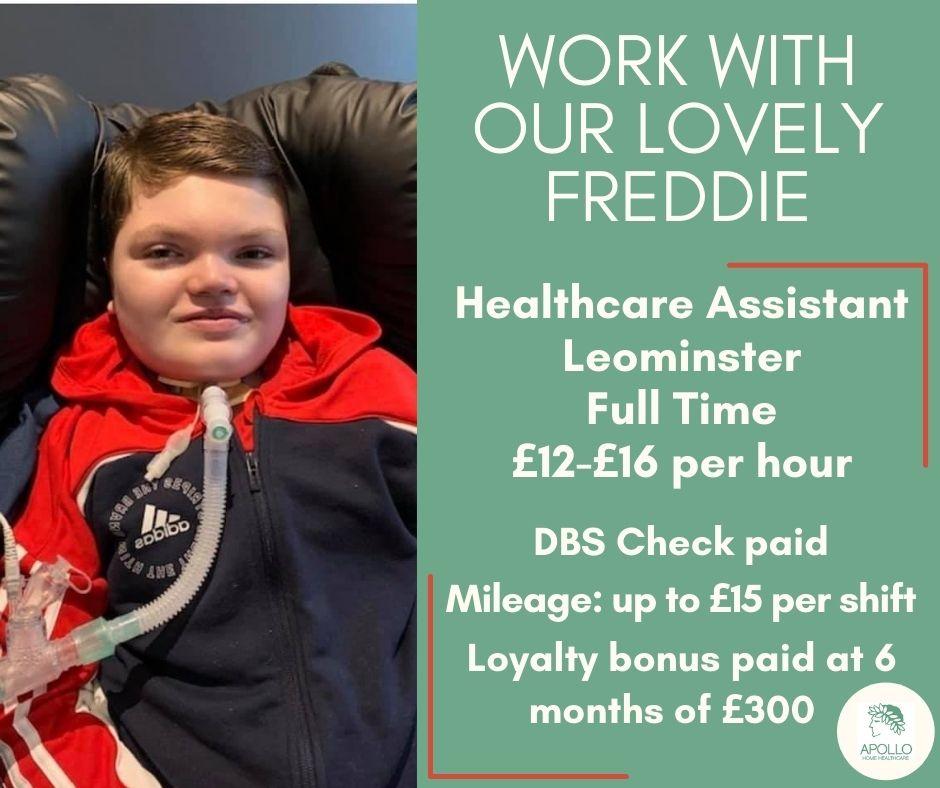 ApolloHHC's tweet photo. We’re looking for Healthcare Assistants to support our lovely Freddie. 

You can read Freddie's story here: https://t.co/xRiXsfzEp6
To find out more and apply visit: https://t.co/Xw9I7YnhkW 

@JCPInWorcester @LocalLeominster #Leominster #LeominsterJobs #Herefordhour https://t.co/QiKLSyAAnu
