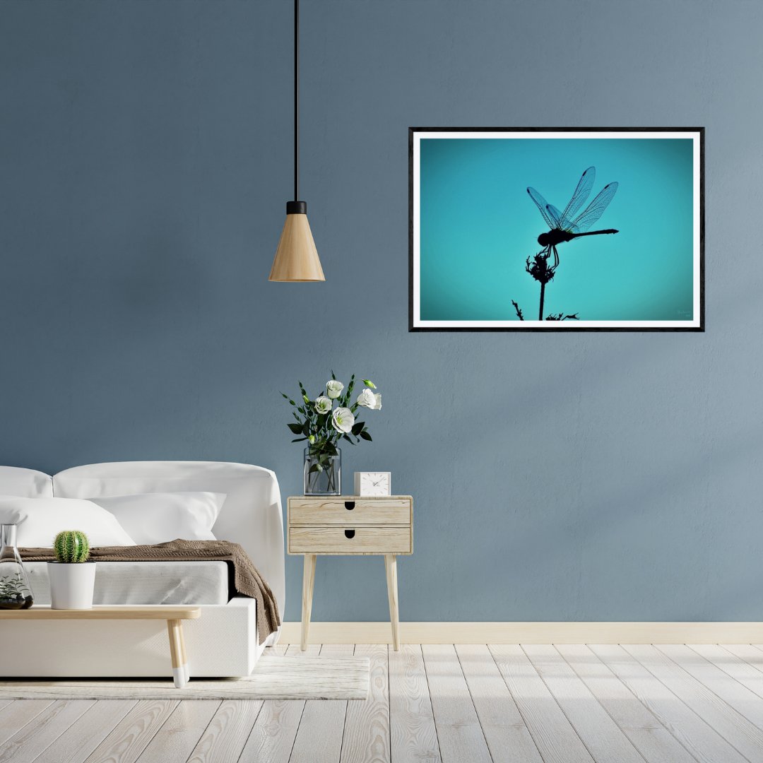 pikcha_official's tweet photo. Love this clean set up with our โDragonFly!โ print by Mohan Kumar N. Featured here in a large black frame. Available on https://t.co/95szEhOePG
#pikcha #pikchaexclusive #fineart #fineartphotography #art #artgallery #onlinegallery #homedesign #artforthehome https://t.co/SirI6RV9qA
