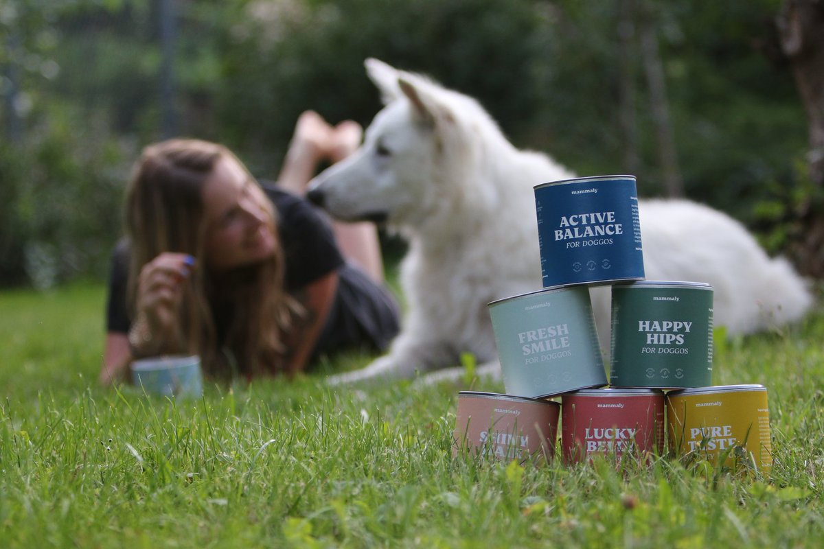maddieunterwegs's tweet photo. #Gesund snacken - das geht! Barney liebt die #Leckerchen von @mammalyde. Es gibt verschiedene Sorten, die auch gegen diverse Problemchen helfen wie z.B. Mundgeruch.
#mammaly #Snack #Hunde https://t.co/K0jtNDgYou