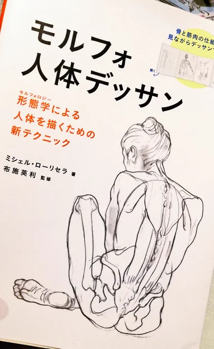 @sukari_picture いやいや全然そんなことないです!、めちゃめちゃ参考になりました～!!すかりさんの話聞いてん久々にアイビスで今描いてて楽しいです💪💪💪
あとあと!!モルフォ買いました!!!これでいっぱい勉強します～!これの使い方って見たままデッサンをいっぱいするって感じですかね? 